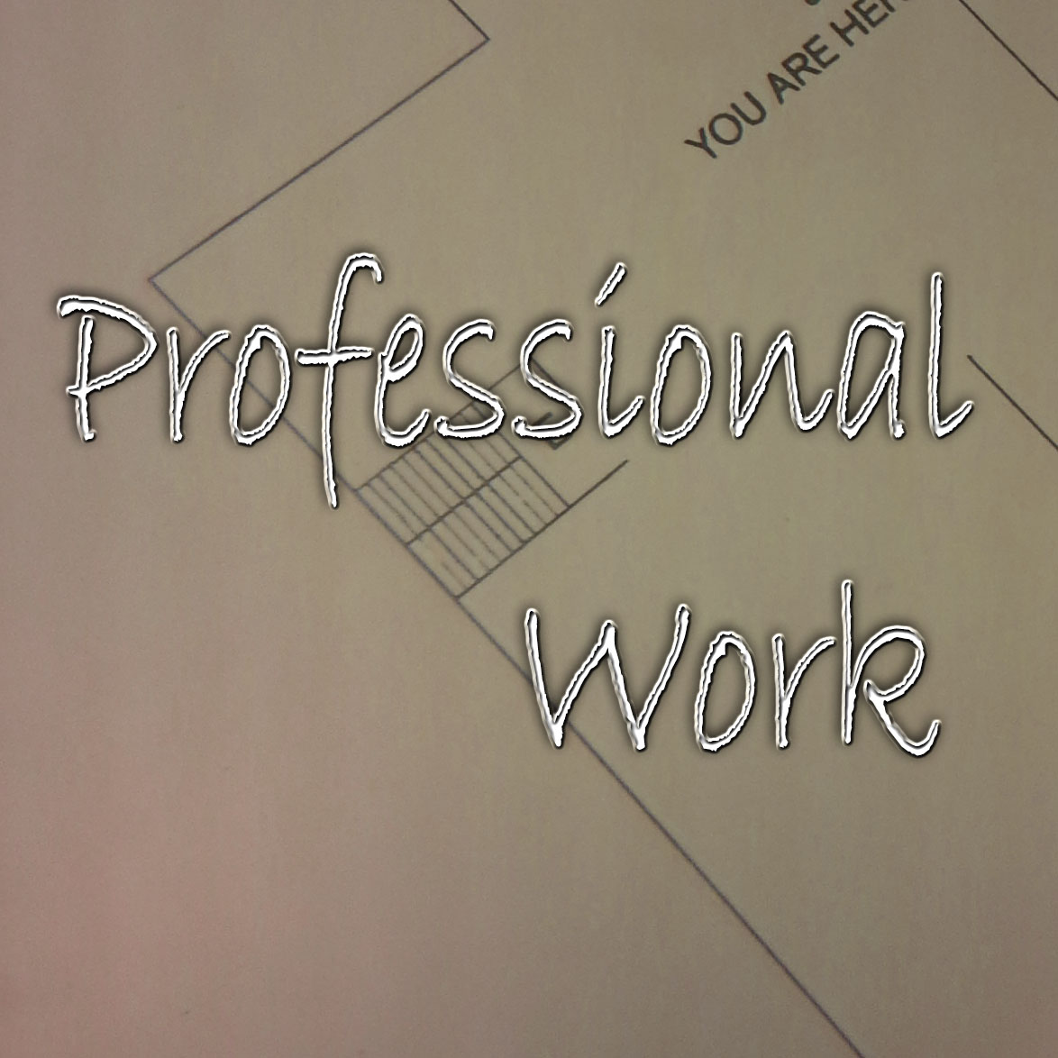 professional work